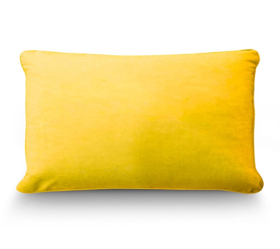 Sunshine Velvet Cushion